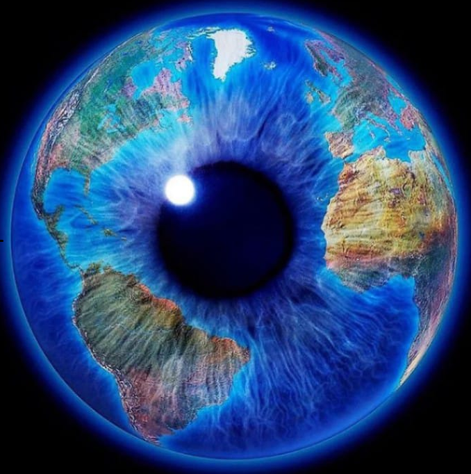 Desarrollo de Productos